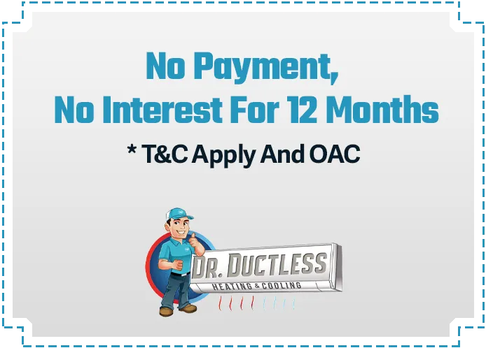 No payment No Interest for 12 months